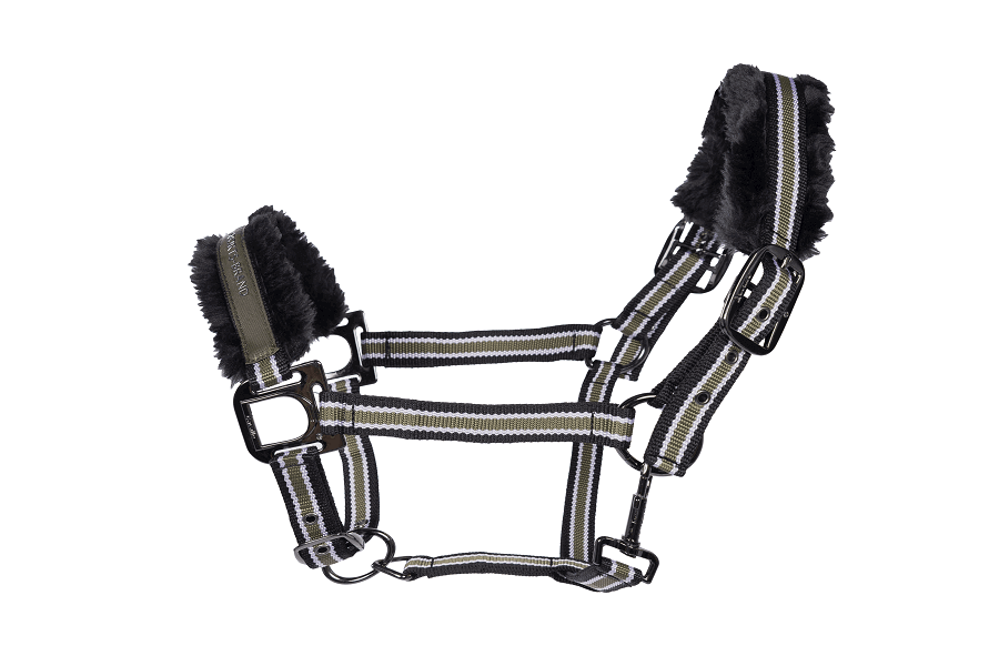 Cavallo Halfter CAVALHELIA Cavallo Halfter CAVALHELIA