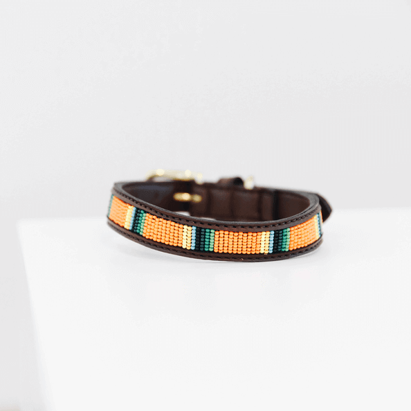 kentucky-dogwear-halsband-pearls-veganes-leder-pure-orange_2 kentucky-dogwear-halsband-pearls-veganes-leder-pure-orange_2