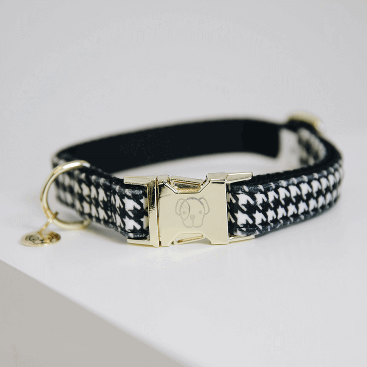 Kentucky Dogwear Hundehalsband Pied-De-Poule Kentucky Dogwear Hundehalsband Pied-De-Poule