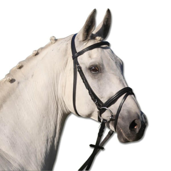 waldhausen-trensenzaum-star-lifestyle-schwarz_1 waldhausen-trensenzaum-star-lifestyle-schwarz_1