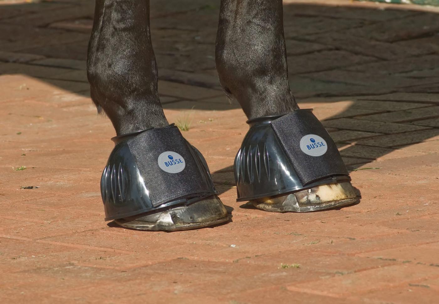 BUSSE Hufglocken Sturdy Klettverschluss Gummiglocken Schwarz M | kavalio - für mich und mein Pferd