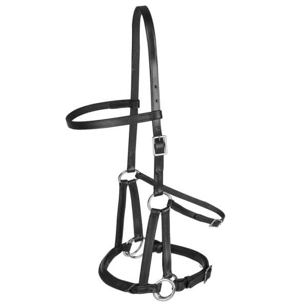 Trensenzaum LTJ Lindel Gebisslos Trensenzaum LTJ Lindel Gebisslos