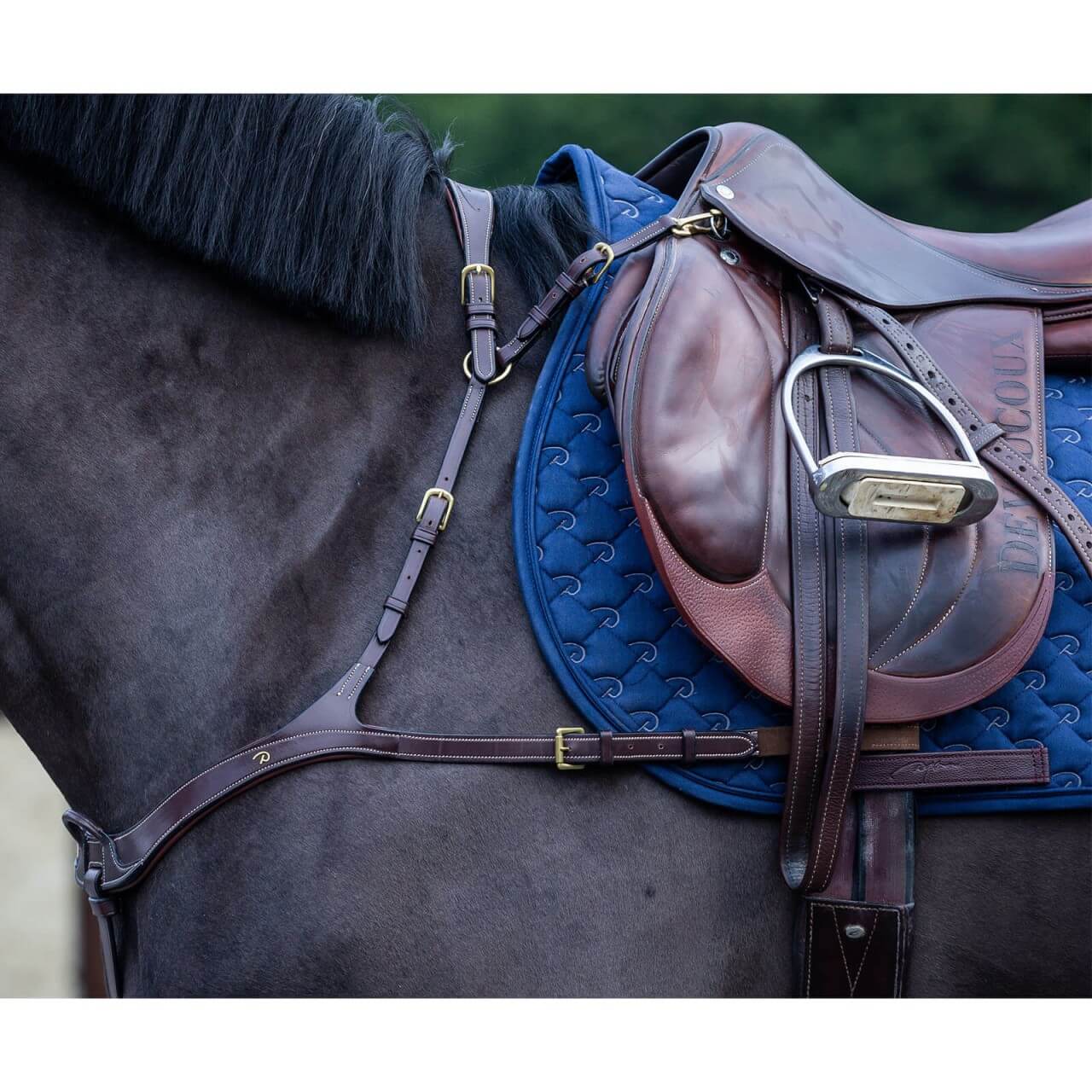 Dy´on Anatomisches Vorderzeug D Collection Hilfszügel Dy´on Anatomisches Vorderzeug D Collection Hilfszügel