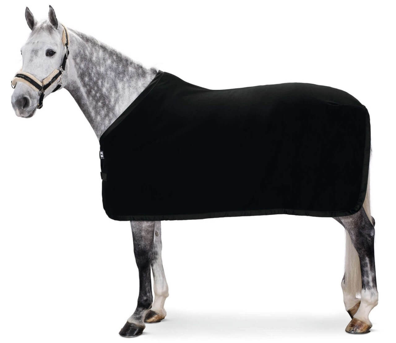 Eskadron Abschwitzdecke Fleece Basics Eskadron Abschwitzdecke Fleece Basics