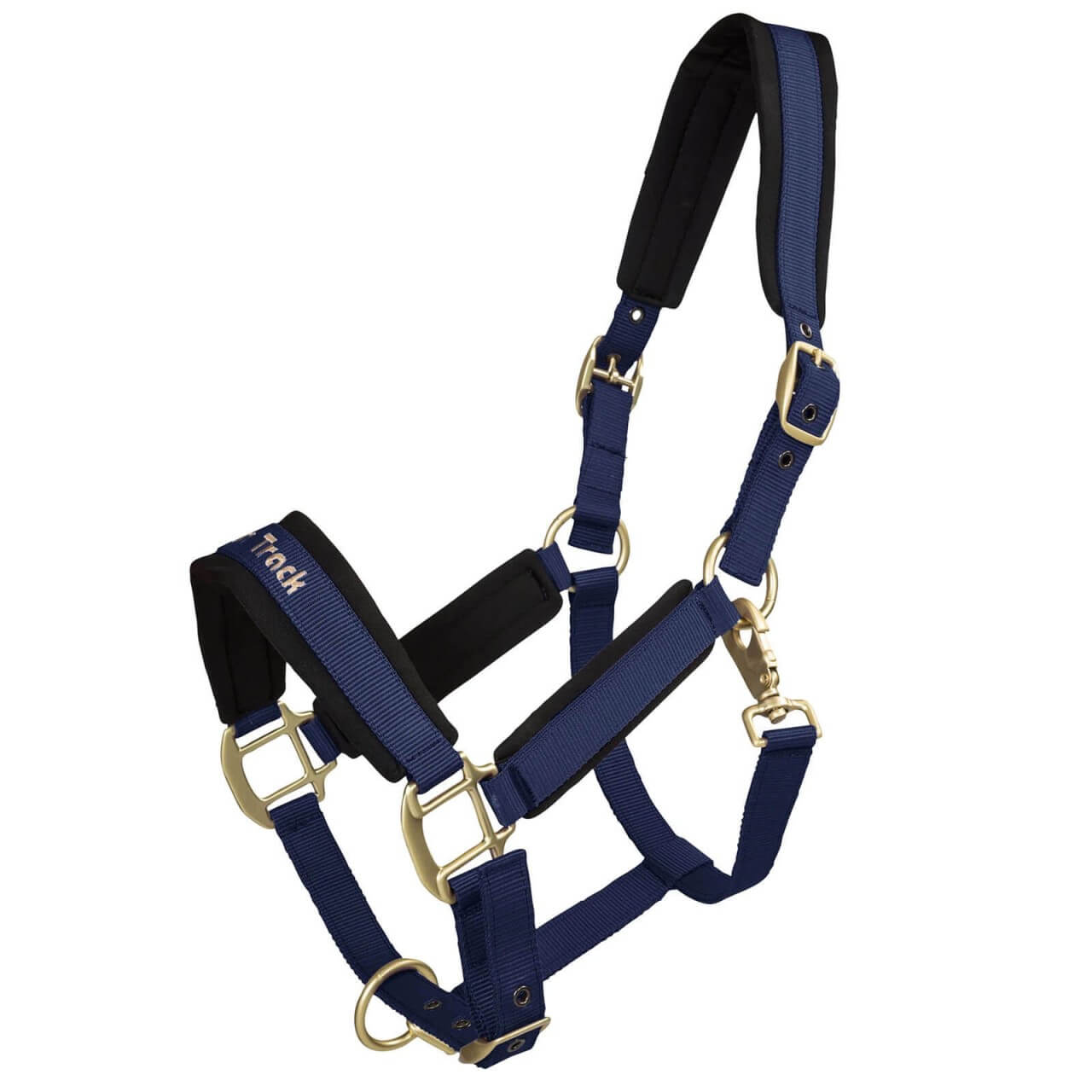 Back on Track Halfter Werano Back on Track Halfter Werano