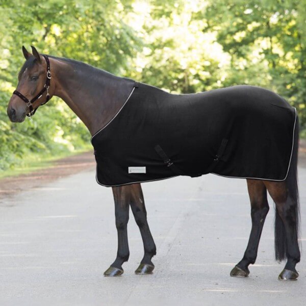 Abschwitzdecke Economic mit Kreuzgurten Fleecedecke Abschwitzdecke Economic mit Kreuzgurten Fleecedecke