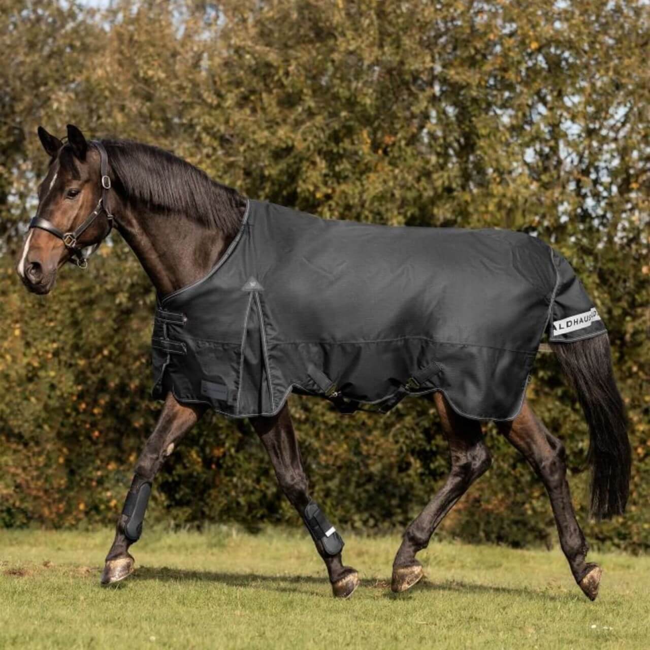 Waldhausen Outdoordecke 300g Arctic Weidedecke Waldhausen Outdoordecke 300g Arctic Weidedecke