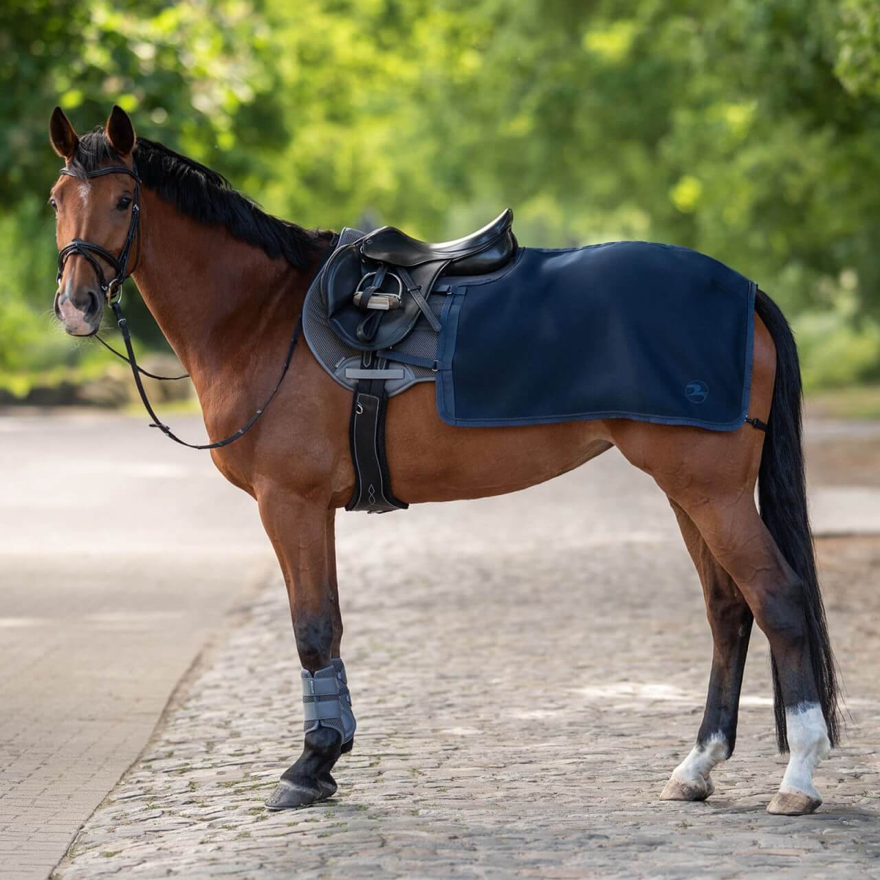 BUSSE Trainingsdecke 3D Air Pro Ausreitdecke BUSSE Trainingsdecke 3D Air Pro Ausreitdecke