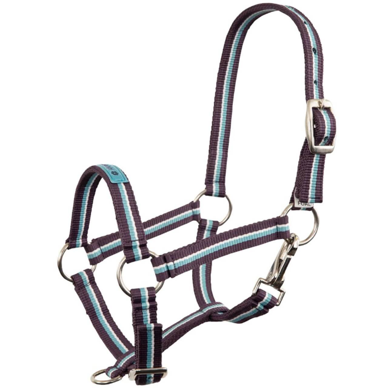 Premiere Fohlenhalfter Fun Premiere Fohlenhalfter Fun