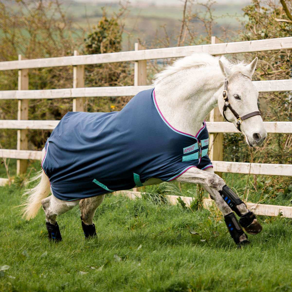Horseware Ireland kavalio