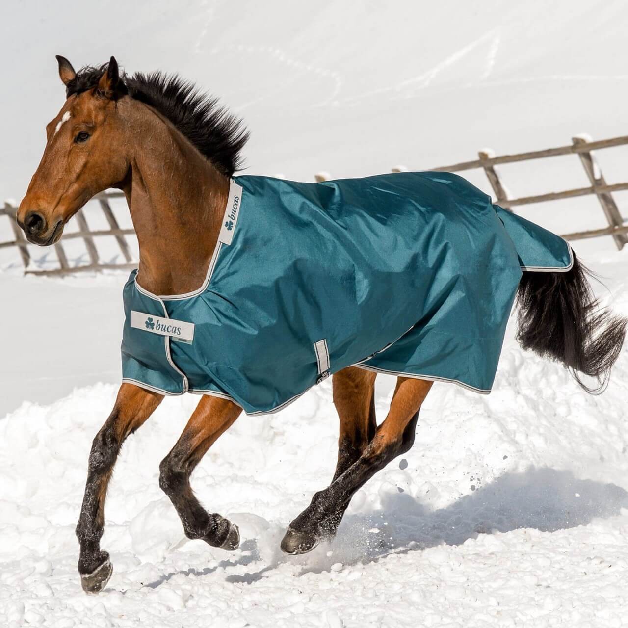 Bucas Outdoordecke 50g Atlantic Turnout Weidedecke Bucas Outdoordecke 50g Atlantic Turnout Weidedecke