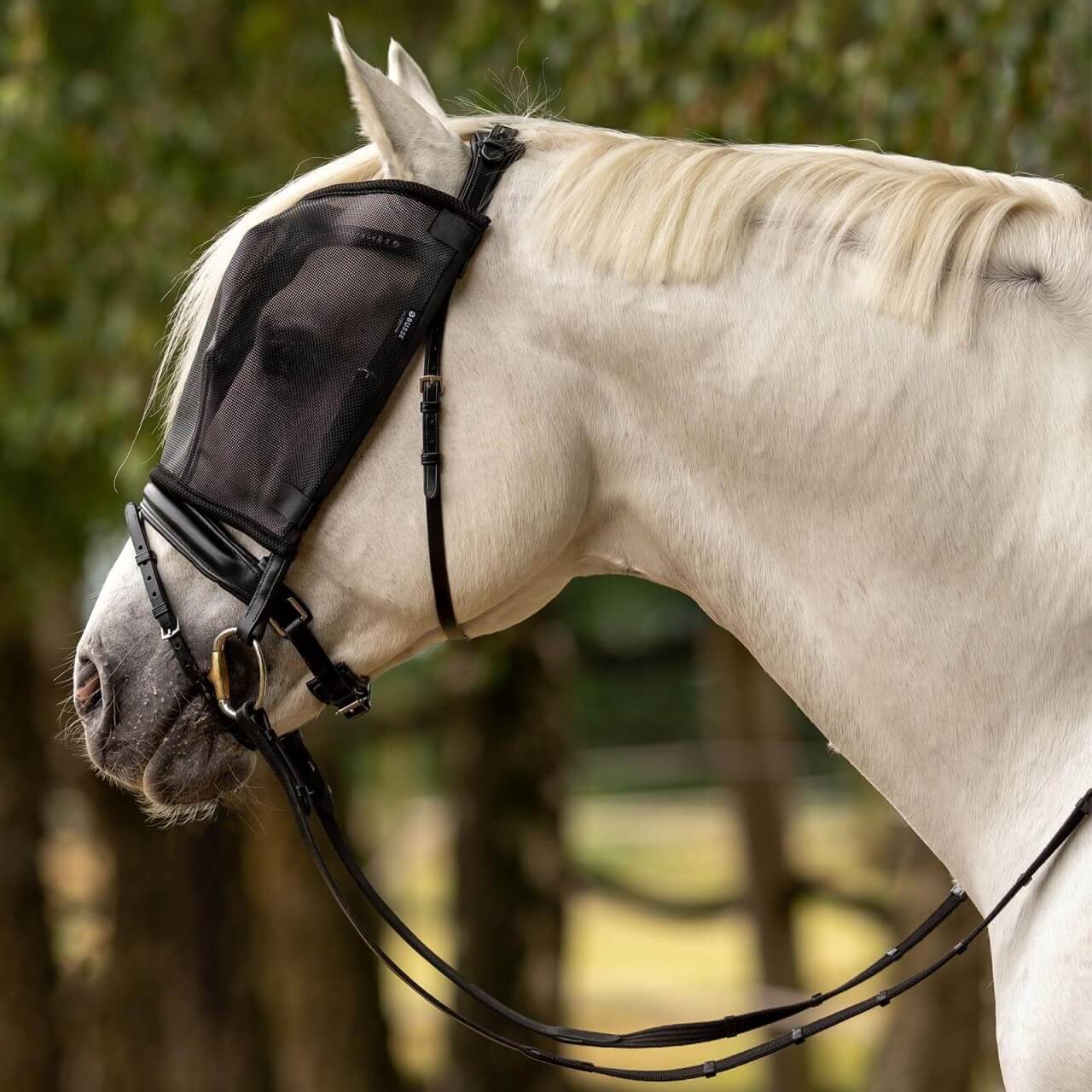 BUSSE Fliegenmaske Riding Fliegenschutz BUSSE Fliegenmaske Riding Fliegenschutz