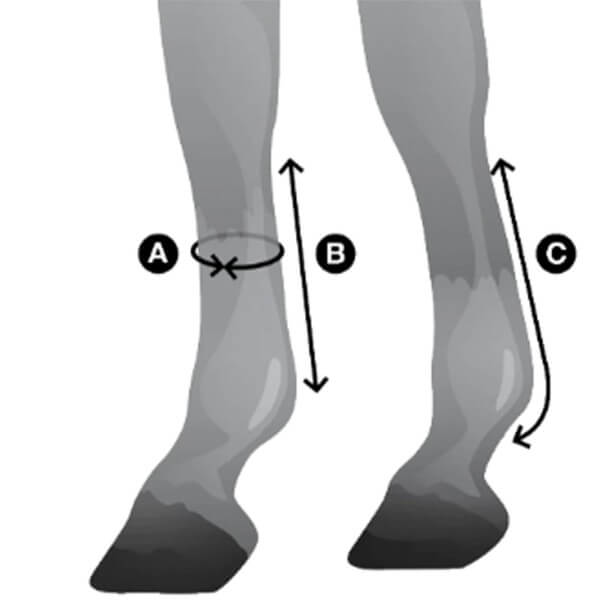 Stallgamaschen Royal Deluxe