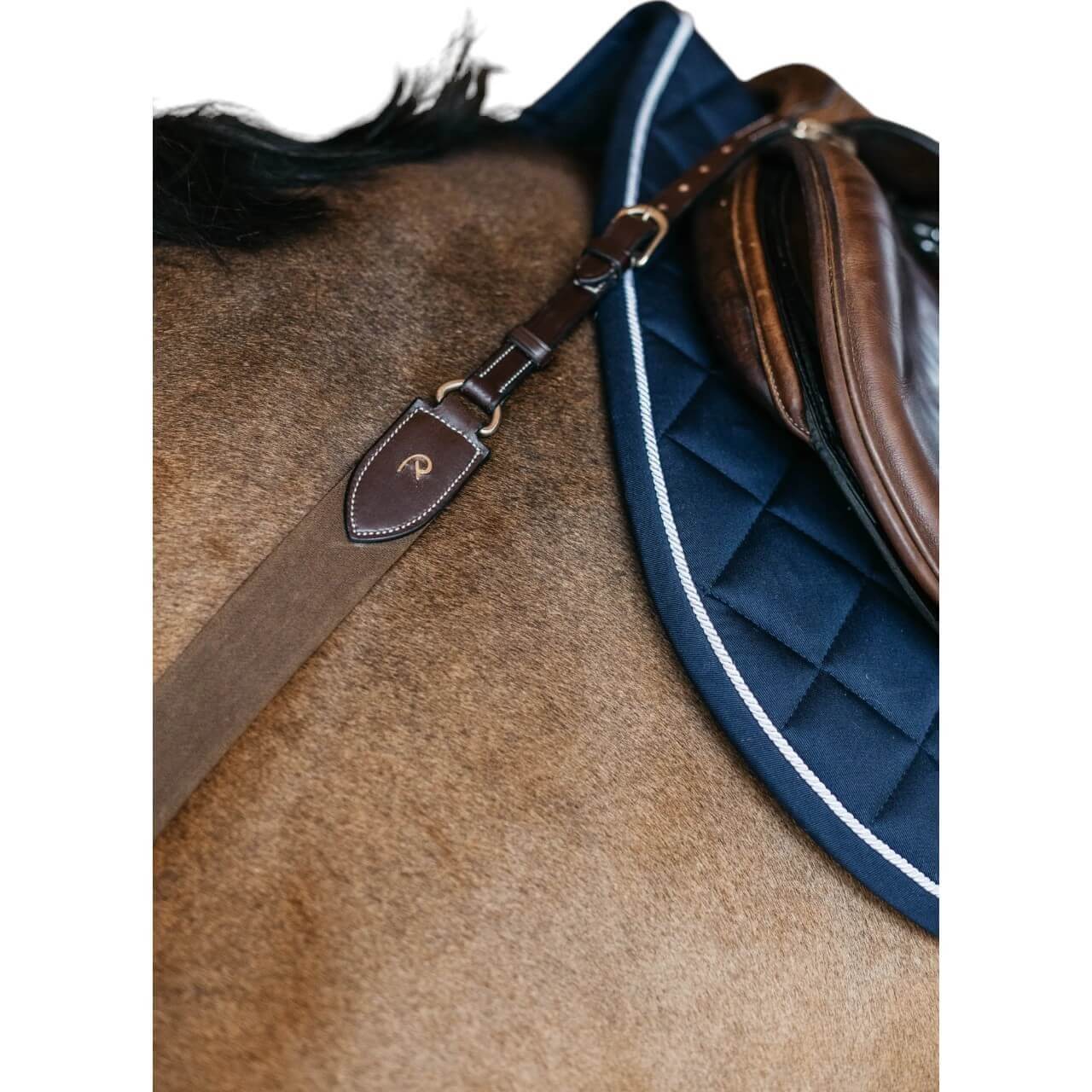 Dy´on Vorderzeug Elastik D-Collection Dy´on Vorderzeug Elastik D-Collection