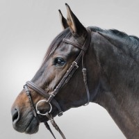 Braun/Braun Braun/Braun