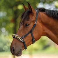 Schwarz/ Messing Schwarz/ Messing