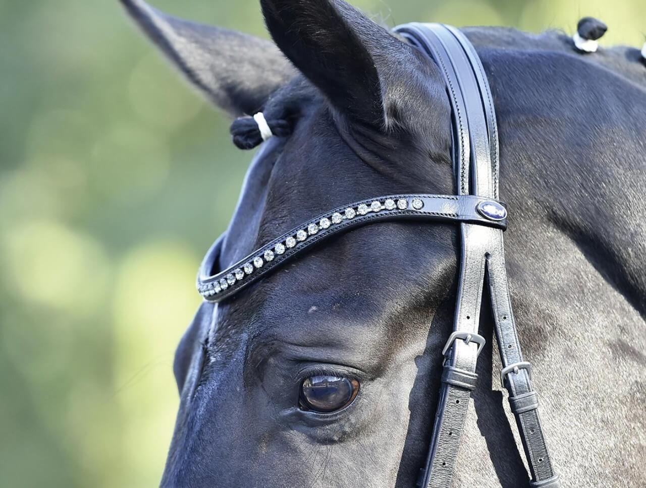 BUSSE Trense Luxury Trensenzaum mit Zügel BUSSE Trense Luxury Trensenzaum mit Zügel