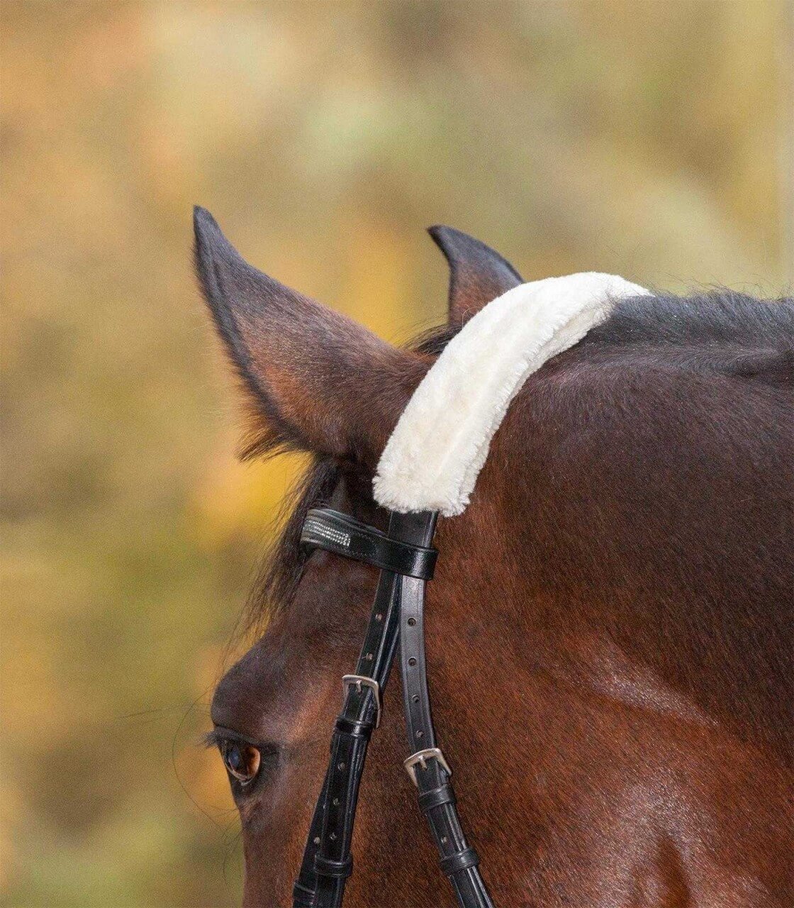 Waldhausen Nasenflauschband Waldhausen Nasenflauschband