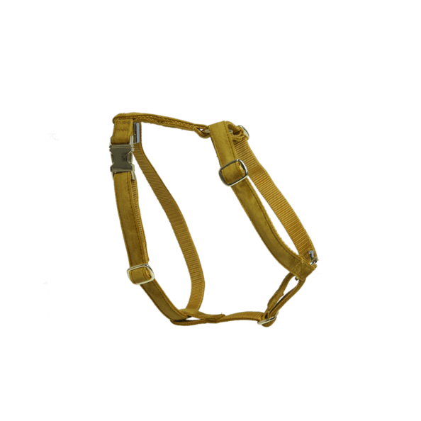 kentucky-dogwear-hundegeschirr-loop-velvet-senfgelb_2 kentucky-dogwear-hundegeschirr-loop-velvet-senfgelb_2