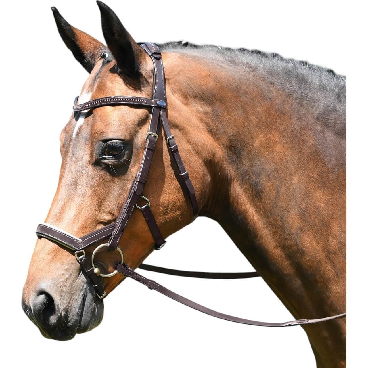 BUSSE Trense Feeling Trensenzaum Ledertrense mit Zügel BUSSE Trense Feeling Trensenzaum Ledertrense mit Zügel