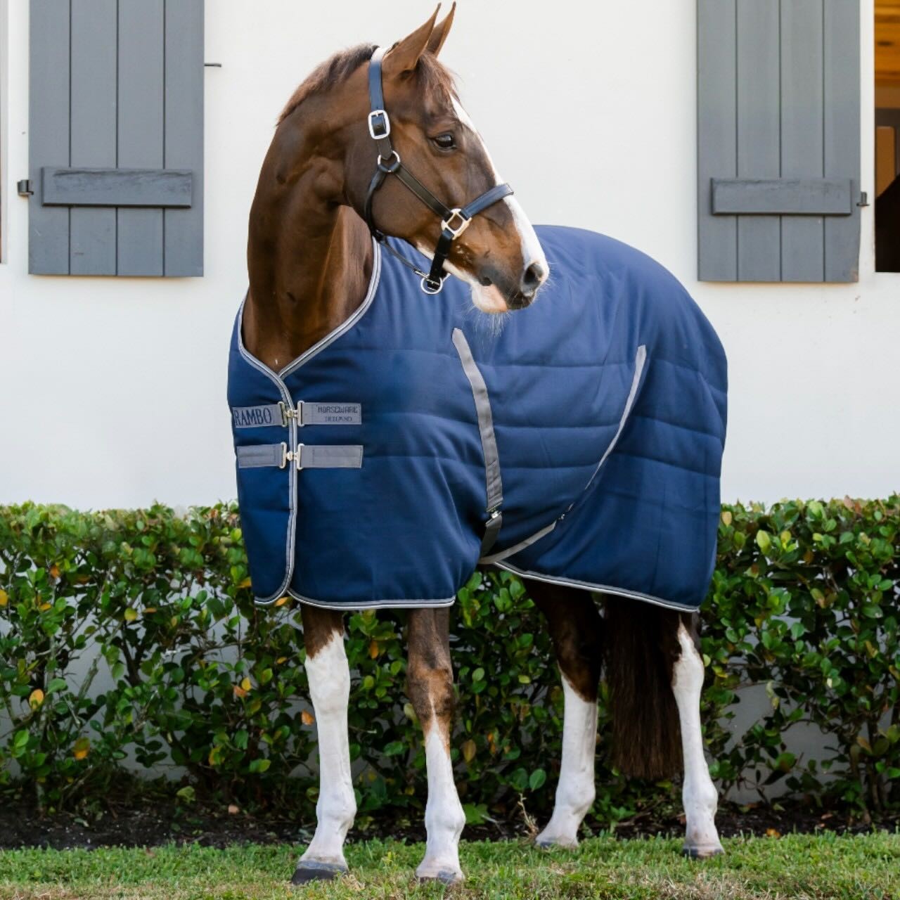Horseware Ireland Stalldecke Rambo Stable Rug 200g Winterdecke Horseware Ireland Stalldecke Rambo Stable Rug 200g Winterdecke