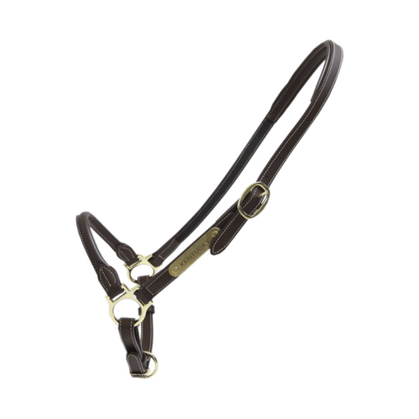 Kentucky Horsewear Stallhalfter Leder Kentucky Horsewear Stallhalfter Leder