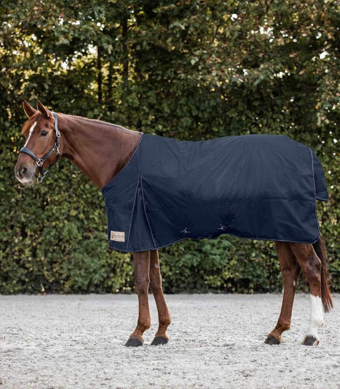 Waldhausen Outdoordecke 0g Nordic Light Regendecke Waldhausen Outdoordecke 0g Nordic Light Regendecke