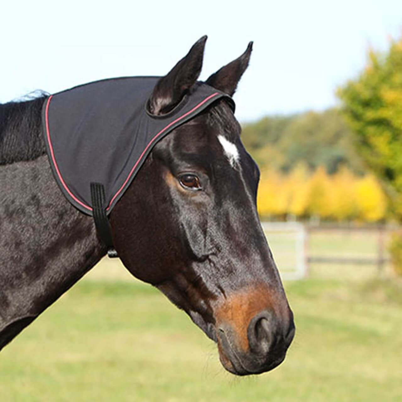 Vitandar Genickschoner Pferd Genickwärmer Vitandar Genickschoner Pferd Genickwärmer