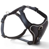 Graphit/Schwarz Graphit/Schwarz