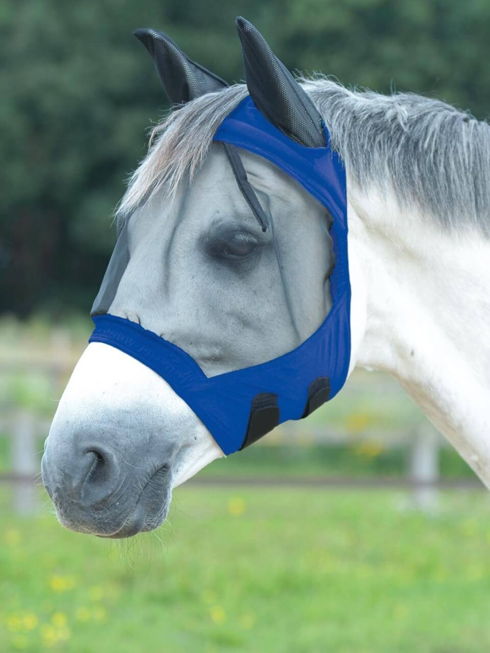 BUSSE Fliegenmaske Fly Buckler Gap II Insektenschutz BUSSE Fliegenmaske Fly Buckler Gap II Insektenschutz