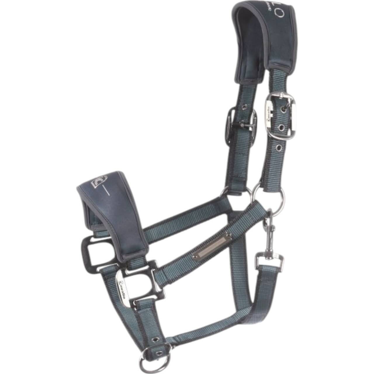 Cavallo Halfter CAVALSOFTSHELL FS 2024 Headcollar Cavallo Halfter CAVALSOFTSHELL FS 2024 Headcollar