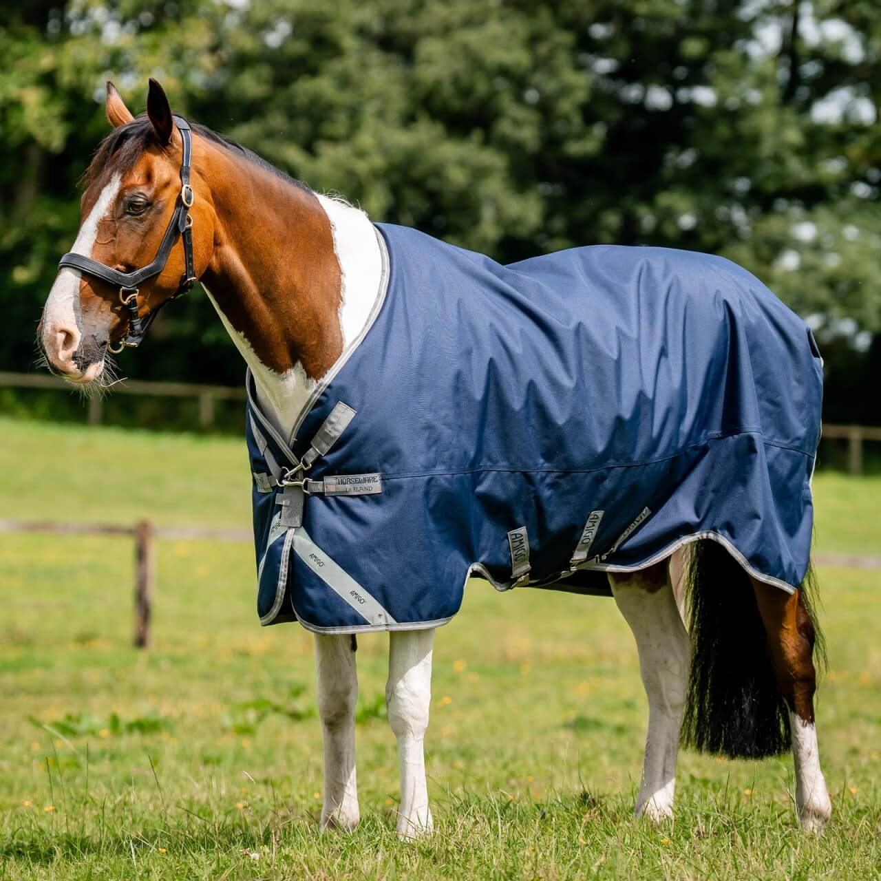 Horseware Ireland Outdoordecke 50g + 100g + 200g Liner Amigo® Bravo 12 Bundle Weidedecke Horseware Ireland Outdoordecke 50g + 100g + 200g Liner Amigo® Bravo 12 Bundle Weidedecke