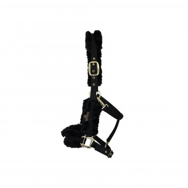 Kentucky Horsewear Nylonhalfter Stallhalfter Lammfellhalfter Kentucky Horsewear Nylonhalfter Stallhalfter Lammfellhalfter