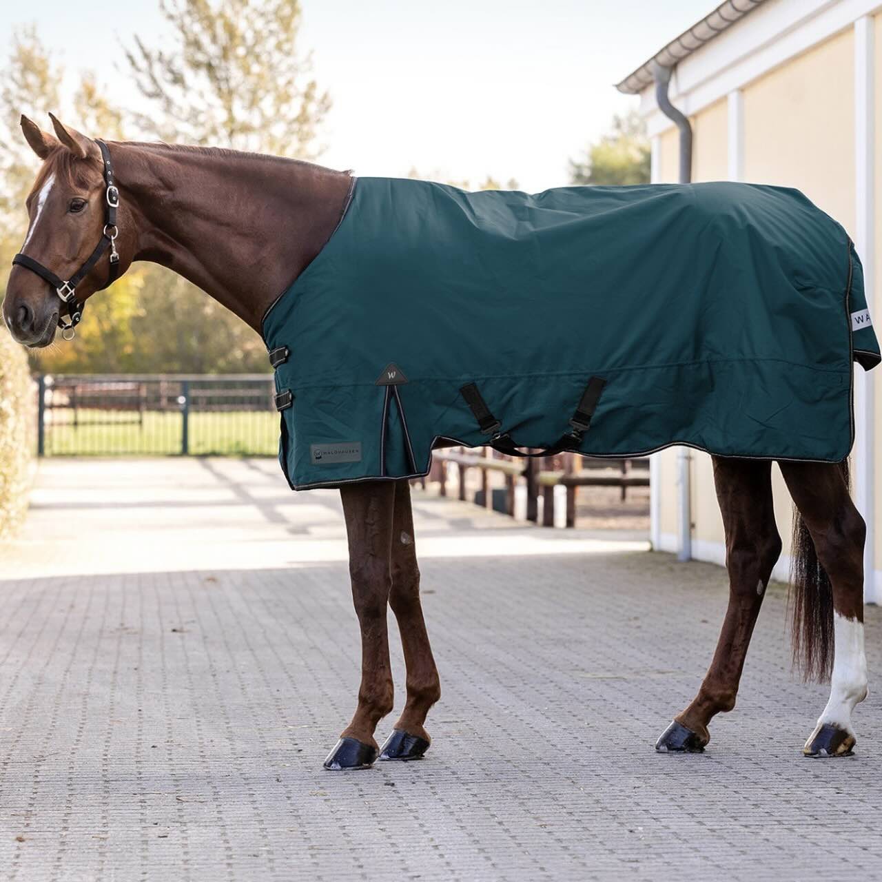 Waldhausen Outdoordecke 300g Arctic Weidedecke Waldhausen Outdoordecke 300g Arctic Weidedecke