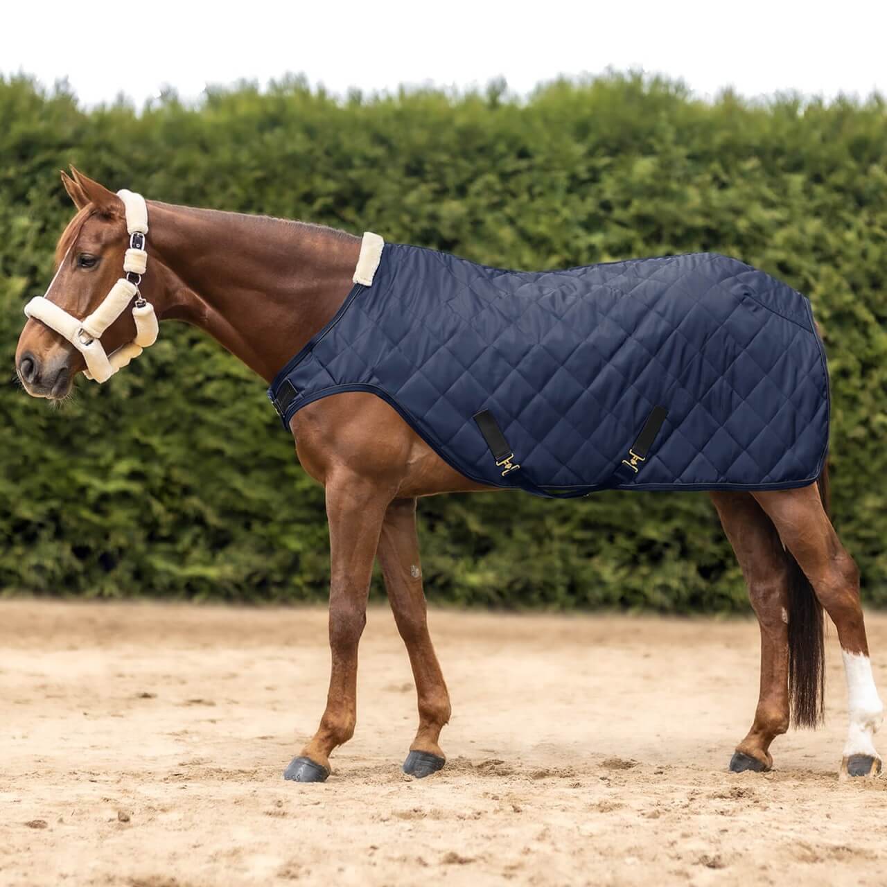 Waldhausen Führmaschinendecke 50g Exclusive Waldhausen Führmaschinendecke 50g Exclusive