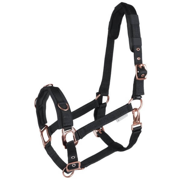 Longierhalfter Rosé Longierhalfter Rosé