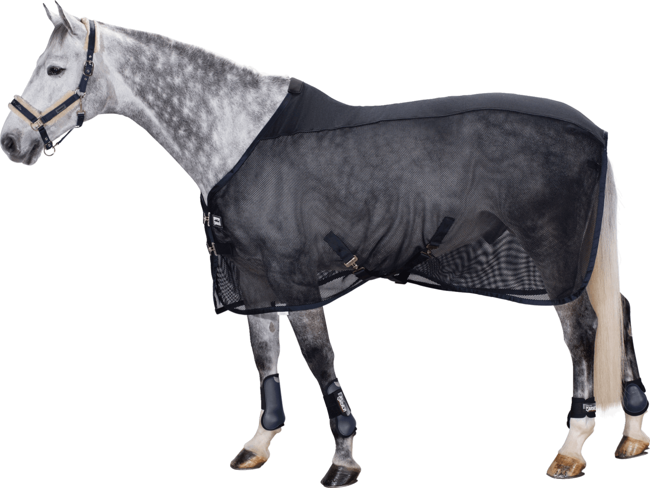 Eskadron Fliegendecke Pro Cover Dura Basics Fliegenausreitdecke Pferdedecke Eskadron Fliegendecke Pro Cover Dura Basics Fliegenausreitdecke Pferdedecke