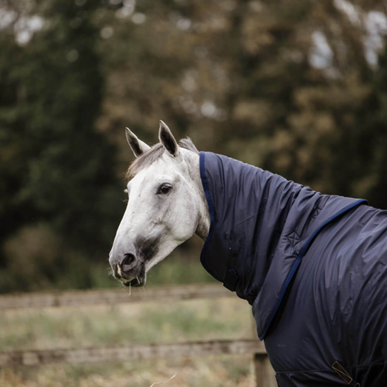 Kentucky Horsewear Halsteil 0g All Weather Hurricane Deckenzubehör Kentucky Horsewear Halsteil 0g All Weather Hurricane Deckenzubehör