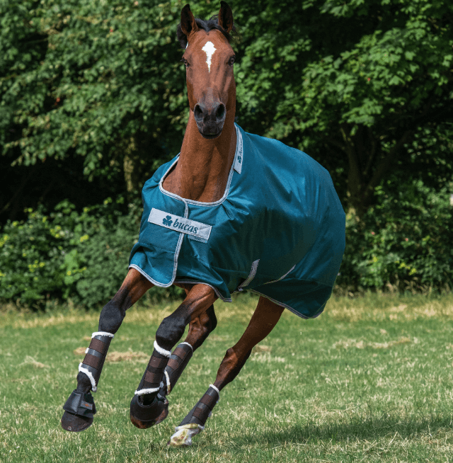 Bucas Outdoordecke 200g Atlantic Turnout Weidedecke Bucas Outdoordecke 200g Atlantic Turnout Weidedecke