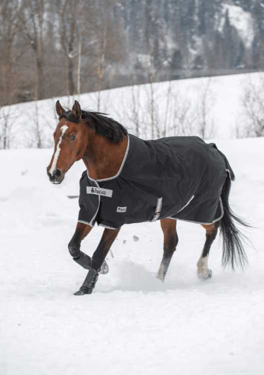 Bucas Outdoordecke 150g Anniversary Turnout Rug Weidedecke Bucas Outdoordecke 150g Anniversary Turnout Rug Weidedecke