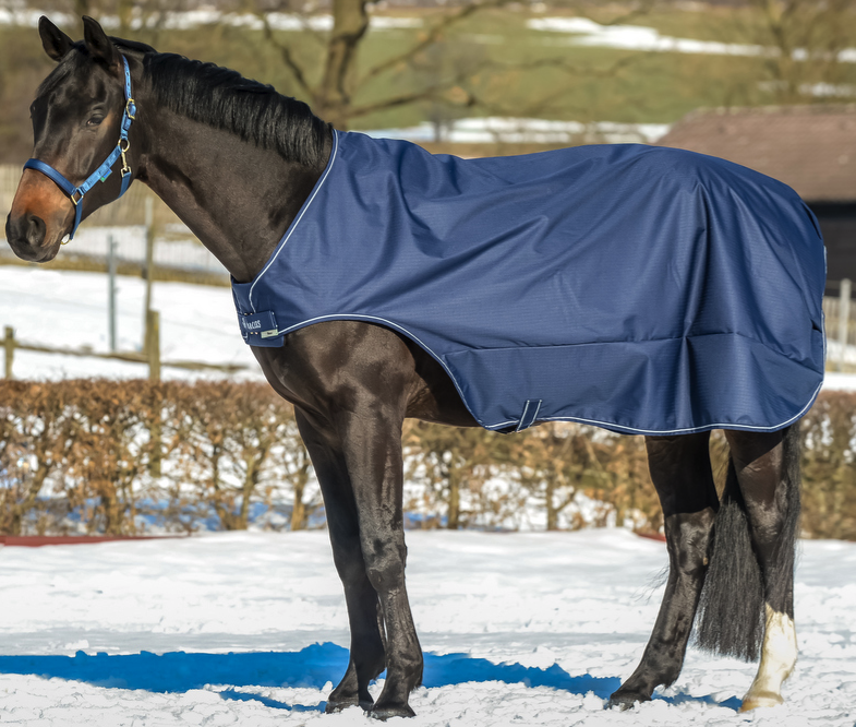 Bucas Führanlagendecke Walker - Navy/Silver | kavalio
