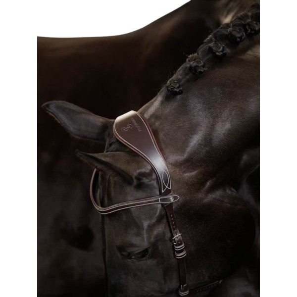 Trense Helsinki Trensenzaum