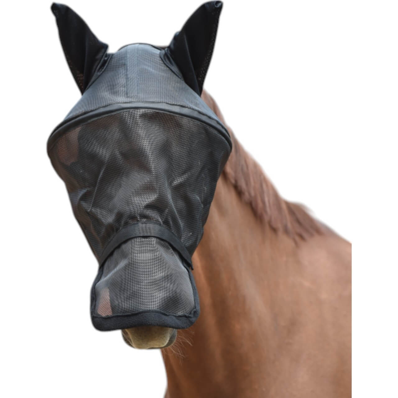 BUSSE Fliegenmaske Fly Professional Fliegenschutz Insektenschutz BUSSE Fliegenmaske Fly Professional Fliegenschutz Insektenschutz