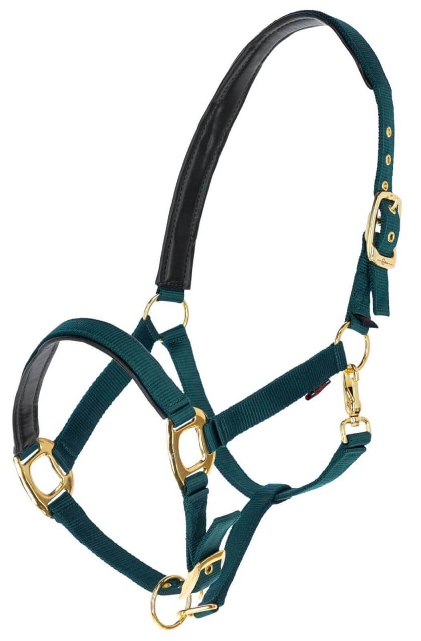 Covalliero Halfter TopLine Nylonhalfter Covalliero Halfter TopLine Nylonhalfter