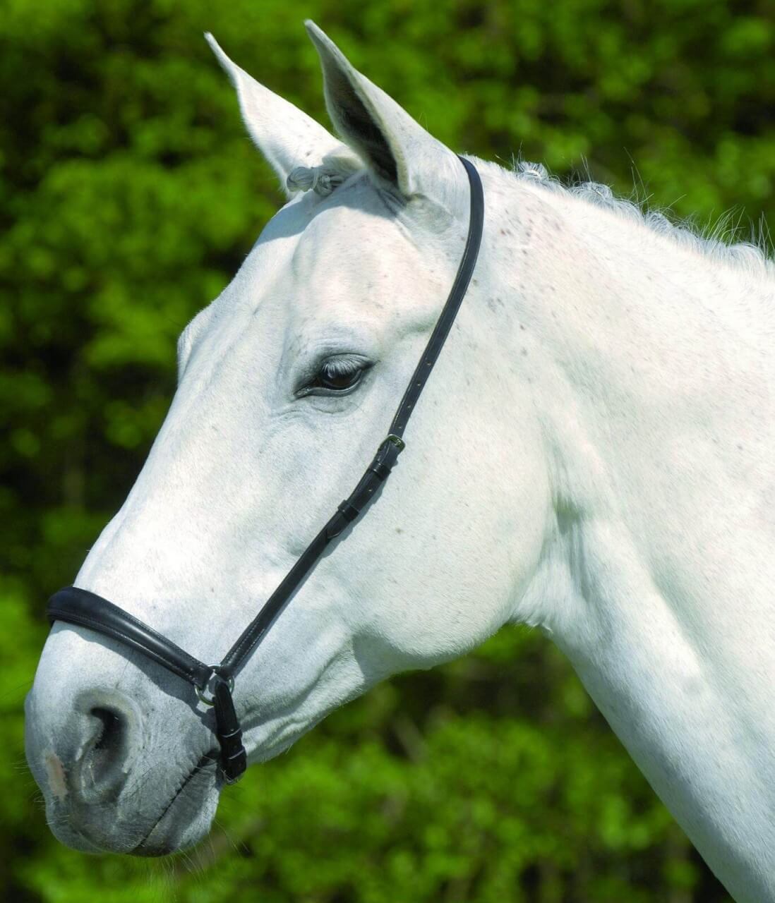 Waldhausen Reithalfter S-Line hann. Waldhausen Reithalfter S-Line hann.