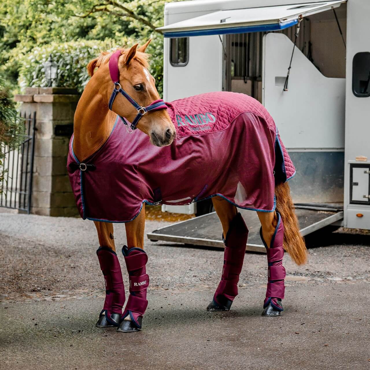 Horseware Ireland Transportdecke 0g Rambo Travel Series Abschwitzdecke Horseware Ireland Transportdecke 0g Rambo Travel Series Abschwitzdecke