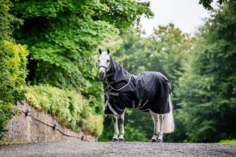 Horseware Ireland Outdoordecke 50g + 100g + 200g Liner Amigo® Bravo 12 Bundle Weidedecke Horseware Ireland Outdoordecke 50g + 100g + 200g Liner Amigo® Bravo 12 Bundle Weidedecke