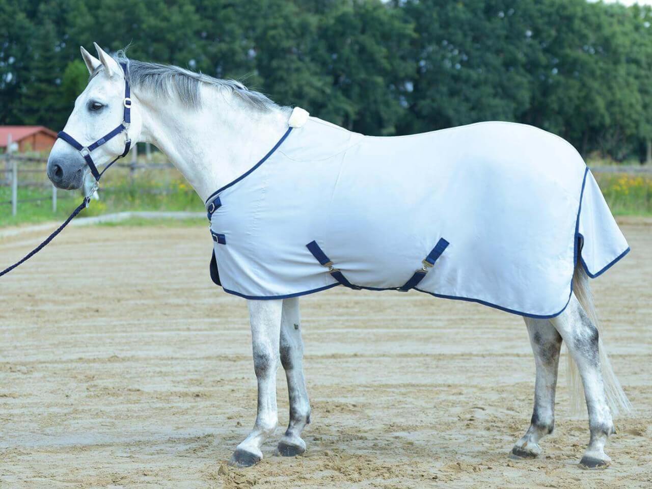 BUSSE Sommerdecke 0g Early Season Übergangsdecke BUSSE Sommerdecke 0g Early Season Übergangsdecke