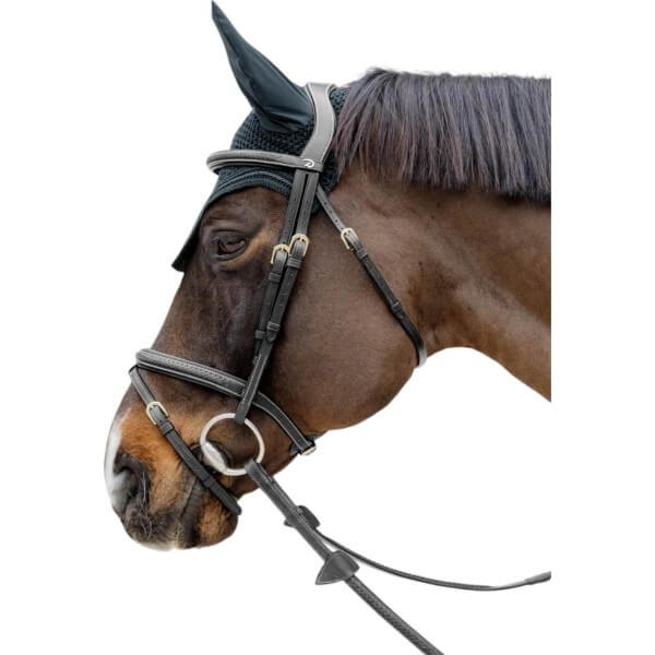 Trense Geflochten mit kombiniertem Reithalfter D-Collection Trense Geflochten mit kombiniertem Reithalfter D-Collection