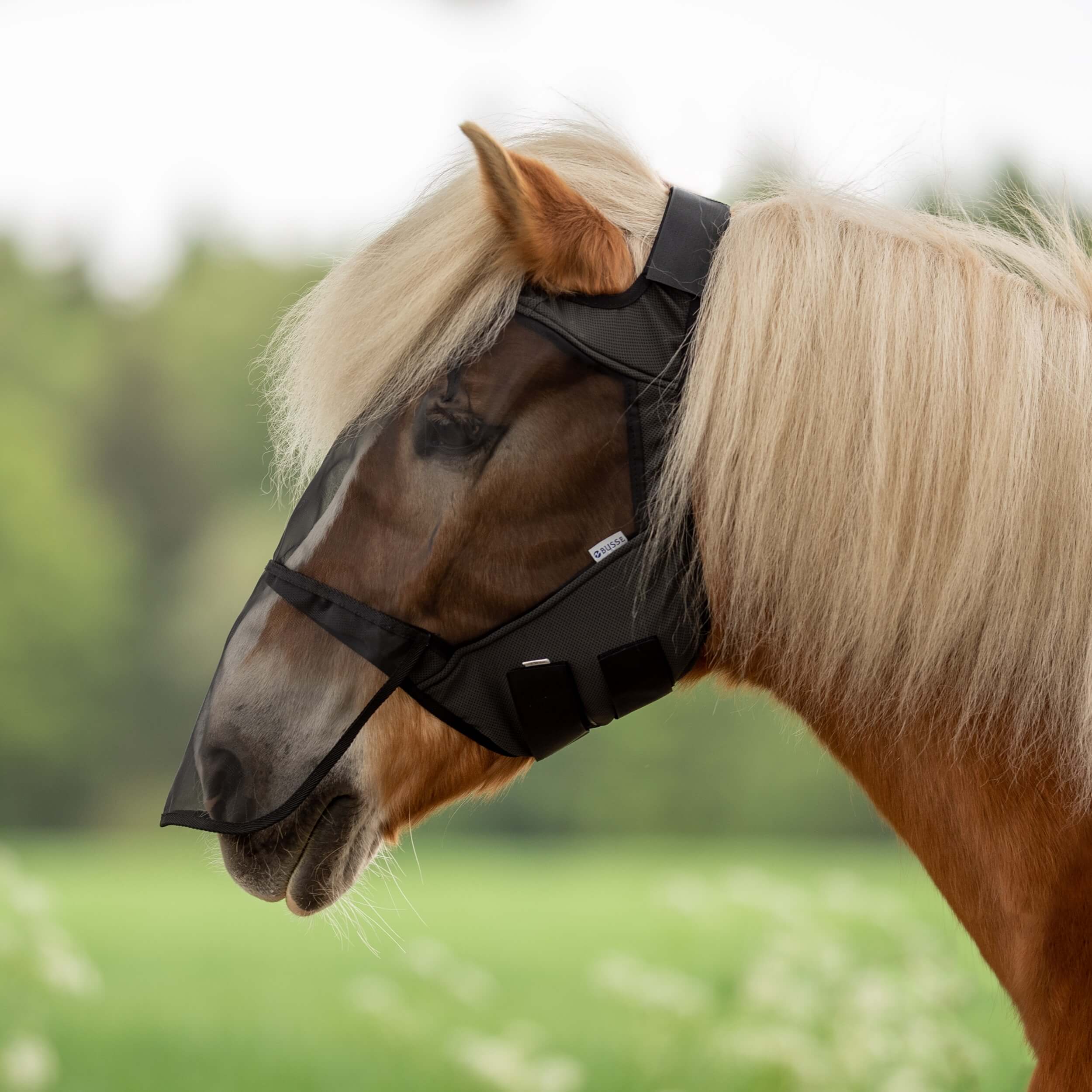 BUSSE Fliegenmaske Fly Guard Free Plus Fliegenhaube Insektenschutz Schwarz Pony | kavalio - für mich und mein Pferd